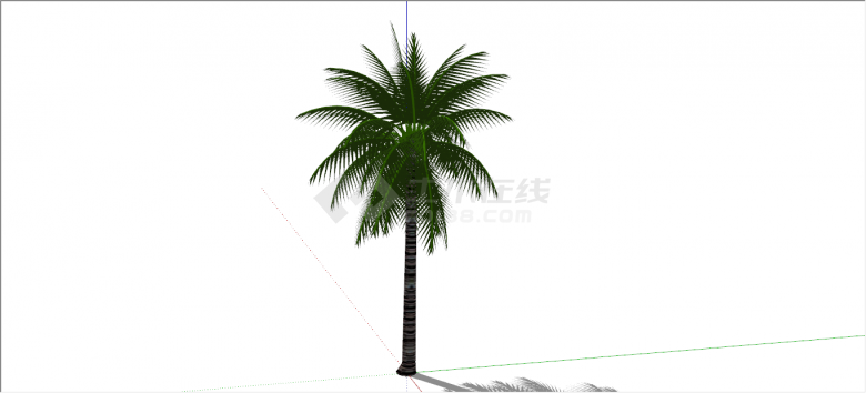 美观鲜绿热带树植物su模型-图二