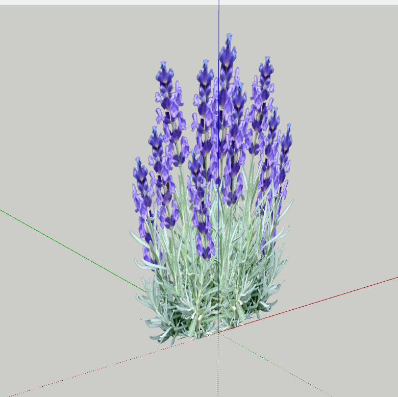 清香贴切的紫色花丛su模型-图二
