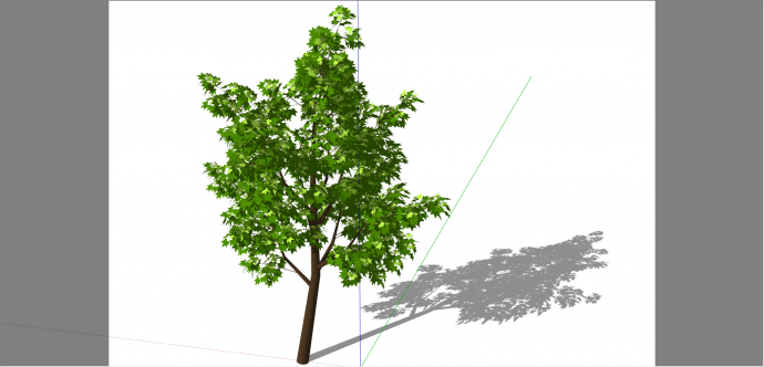 公园观赏性景观树su模型_图1