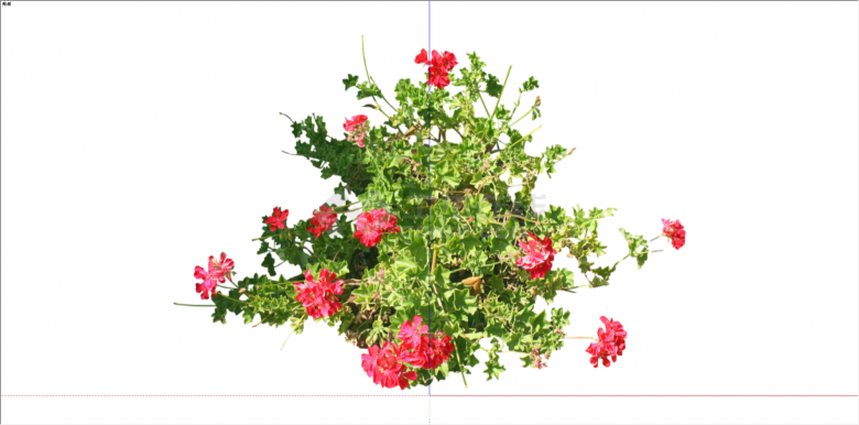 可养殖红色花卉植物su模型-图二