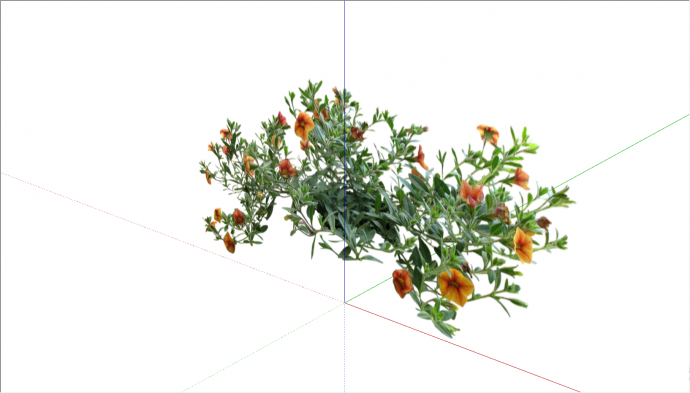 带有橘黄色牵牛花的植物su模型_图1