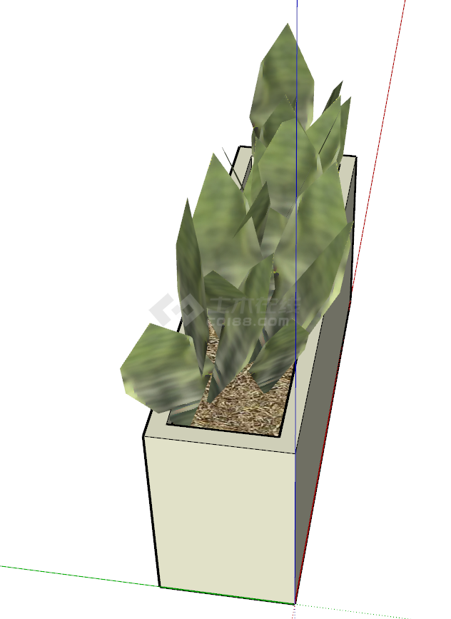 一盆长方形大叶植物盆栽su模型-图二