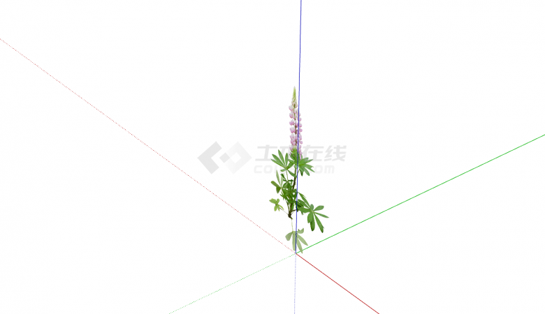 单支浅紫色花卉灌木su模型-图二