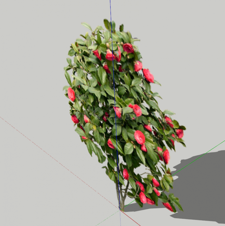 现代一小丛带红花的树木su模型-图一