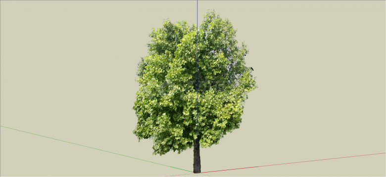 现代经典大型树木乔木su模型-图一