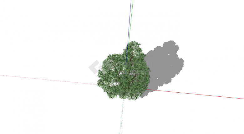 绿色双枝干稀疏乔木su模型-图二