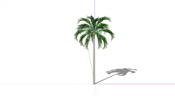 热带树单棵绿叶植物su模型_图1