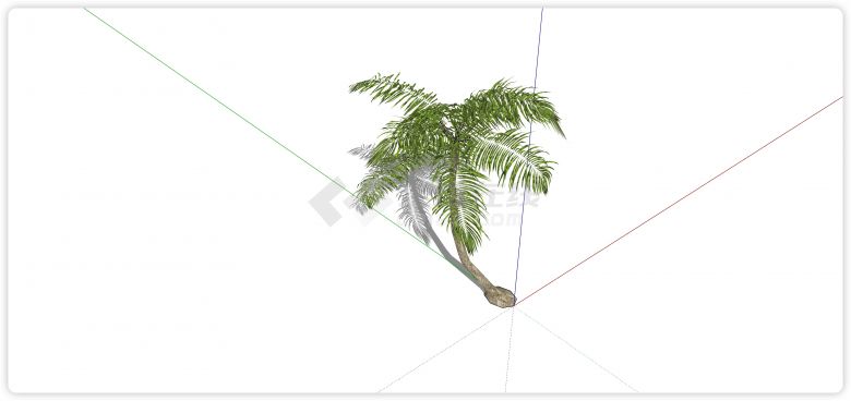 倾斜树干椰树su热带树模型-图二