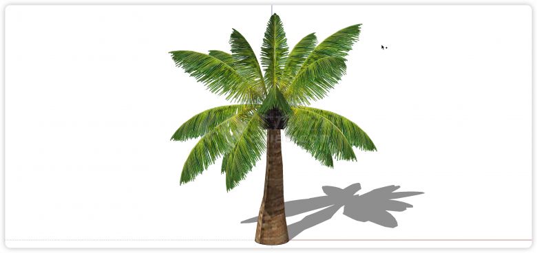 粗壮矮树根棕榈树热带树su模型-图一