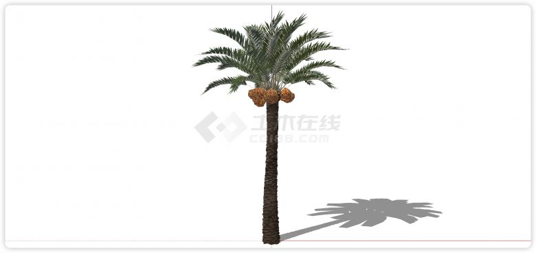 带果实棕榈树热带树su模型-图一