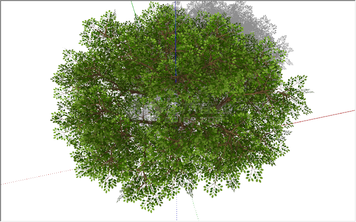 现代翠绿色乔木杨树su模型-图二