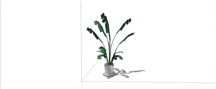 芭蕉科板蕉室内植物su模型_图1