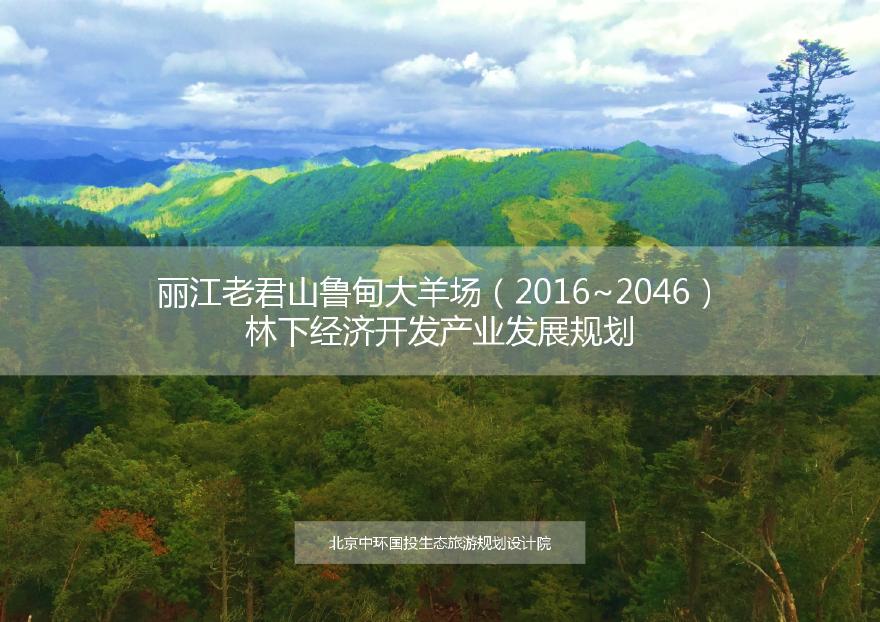 [云南]国家级林下中药材示范基地景观规划设计方案文本2016-图一