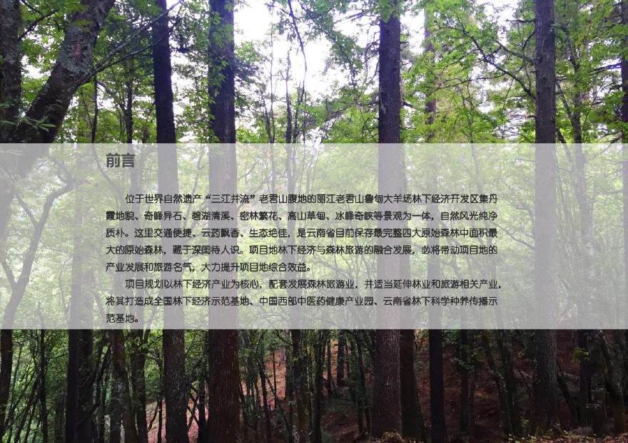 [云南]国家级林下中药材示范基地景观规划设计方案文本2016-图二