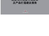 [安徽]商业项目市场定位及产品打造建议报告（114页）图片1