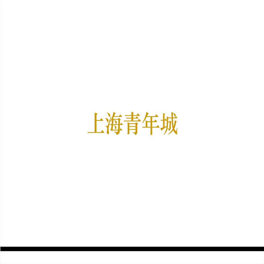 2006年万科对上海青年城项目的考察报告.ppt