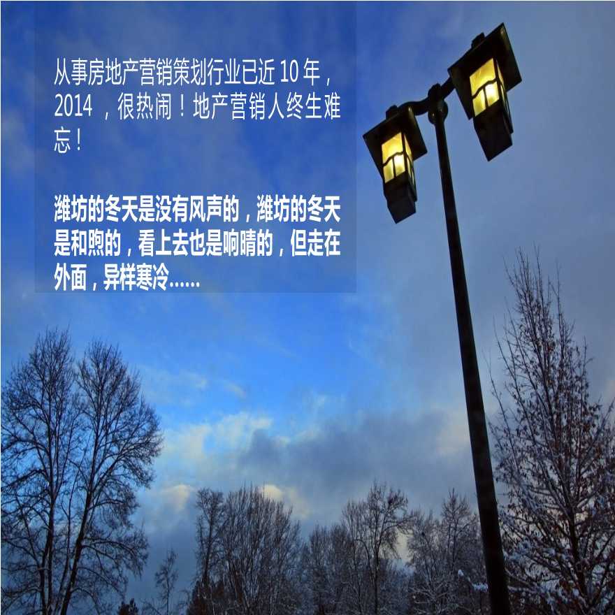 地产策划资料-新隆中央城营销提案2014.12.23.pptx-图二