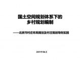 2019年 国土空间规划体系下的乡村规划北京导则的实践[87P].pdf图片1