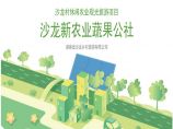 沙龙村休闲农业田园综合体规划方案.pptx图片1