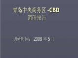 2008年青岛中央商务区-CBD调研报告.ppt图片1