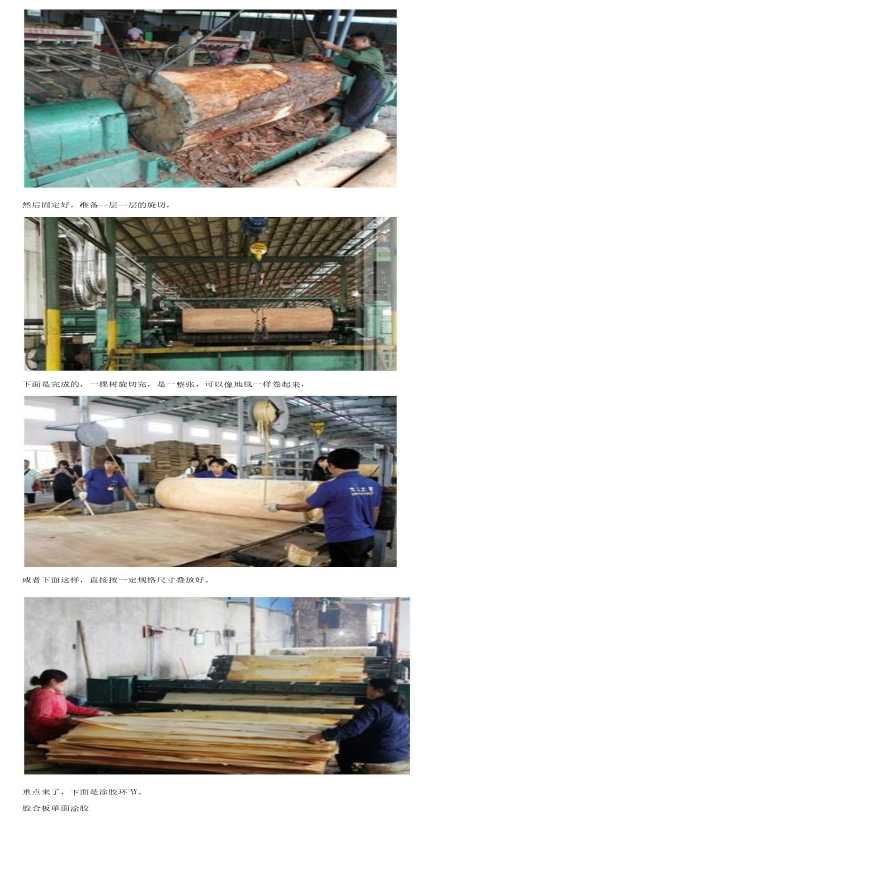 板材-篇一：板材就是皮 芯！扒一扒板材的生产工艺.pdf-图二