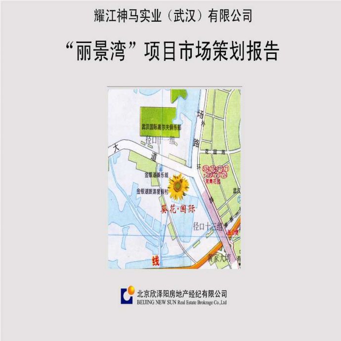 丽景湾项目定位策略报告.ppt_图1