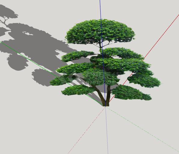 树干细现代优美造型树su模型-图二