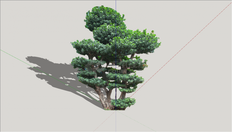 浓密茂林风格造型树su模型-图二