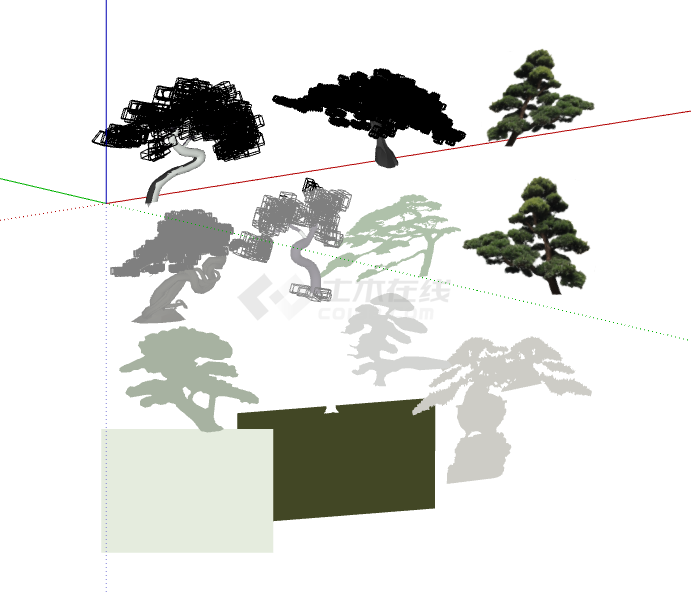 中式罗汉松 黑松 造型松 盆景盆栽 景观树 松树 歪脖子树 观赏树 乔灌木su模型-图二
