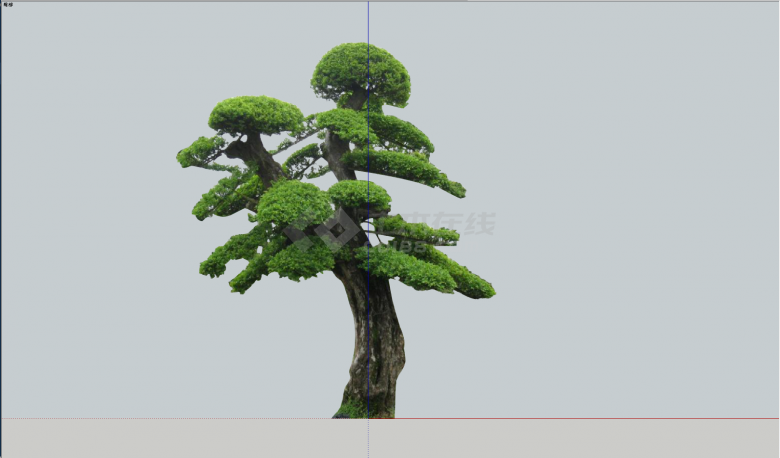 大型蘑菇状植物景观su模型-图二