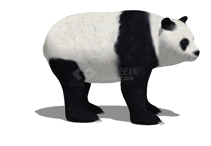 眺望远方黑白的熊猫su模型-图二