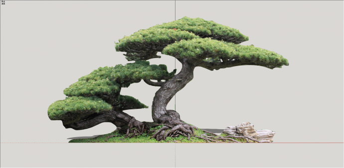 两颗可观赏性造型树 su模型_图1