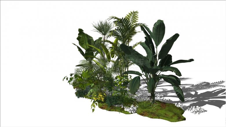 茂盛的多种的常用植物组团su模型-图二