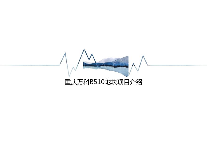 2019.08 万科重庆B510地块（江景）项目方案.pdf-图一