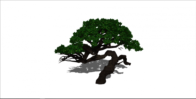 新中式单棵带绿叶景观树su模型_图1