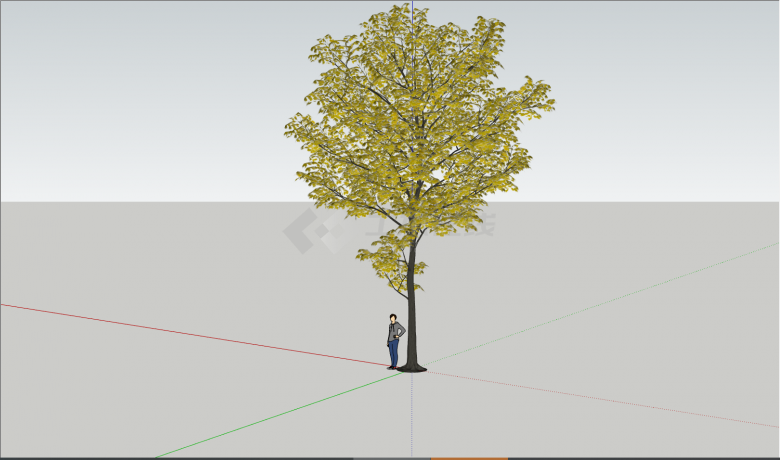一颗金黄色的树冠深棕色的树身下站着一位年轻的男人su模型-图二