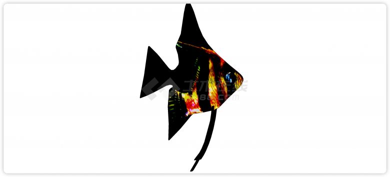 黑色神仙鱼水族馆鱼类动物组合su模型-图一