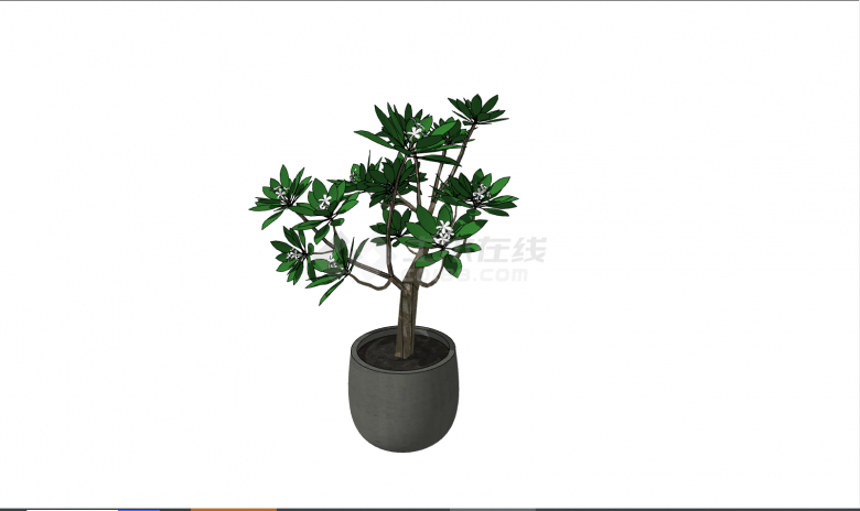 一款深色花盆种着一株茂盛的小树盆栽su模型-图二