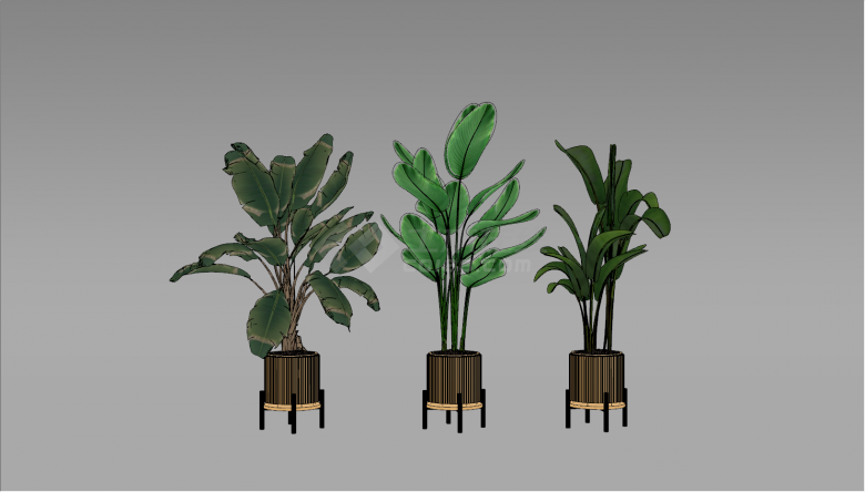 现代客厅景观花盆植物su模型-图一
