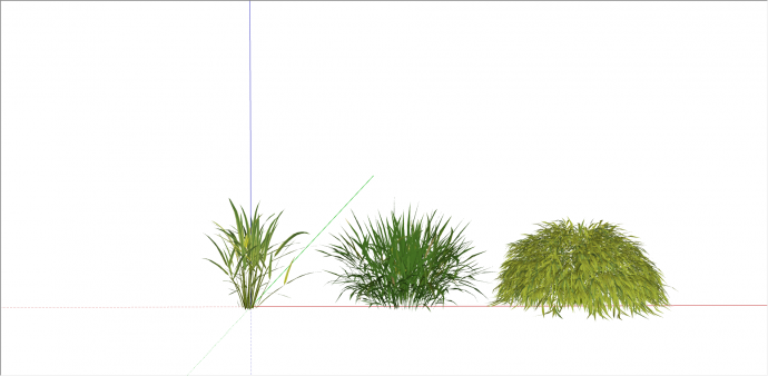 三款不同形状的箱根草su模型_图1