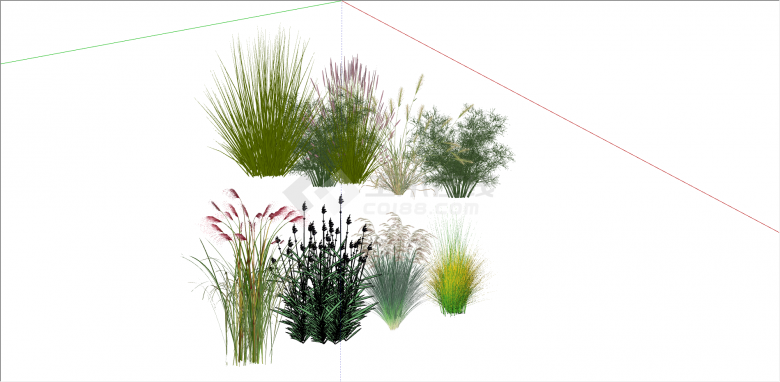 芦苇水生植物景观草su模型-图二