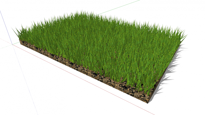 地被植物杂草单块矩形su模型_图1