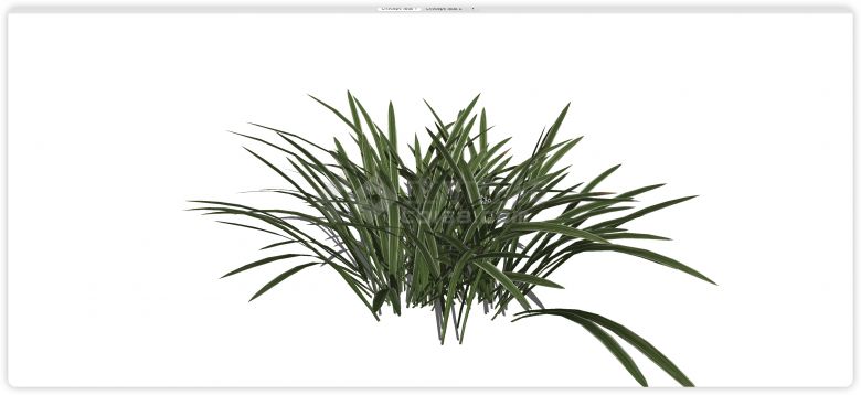 白色边宽叶片水生植物su模型-图二