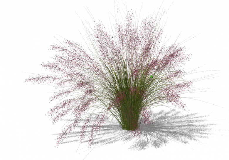 现代粉色水生植物su模型-图二