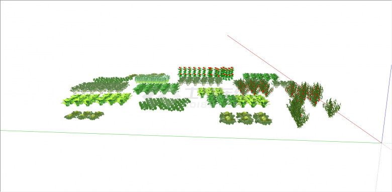  现代分区域规划菜园su模型-图二