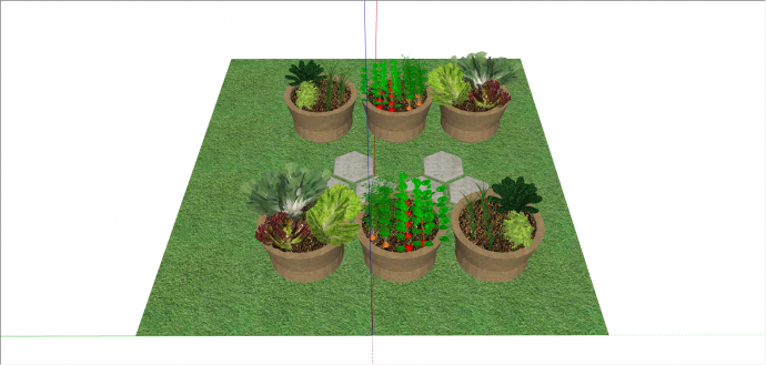  多种类蔬菜养殖盆栽su模型_图1