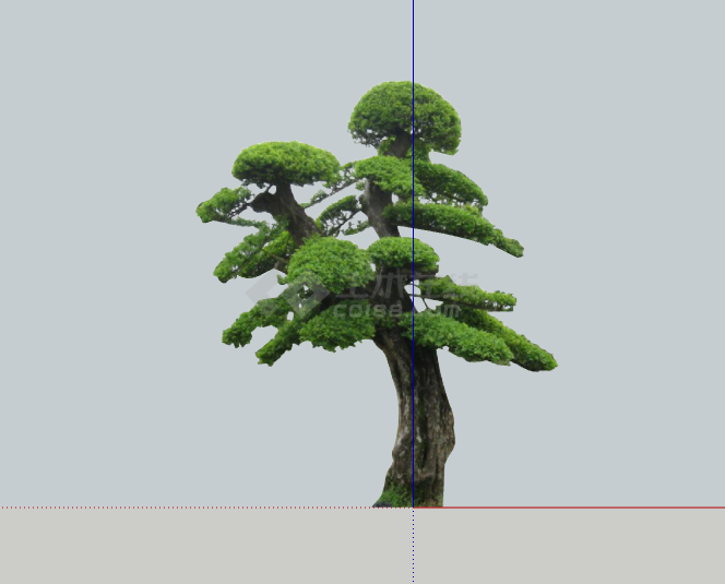绿色大气绿丝带造型树 su模型-图一
