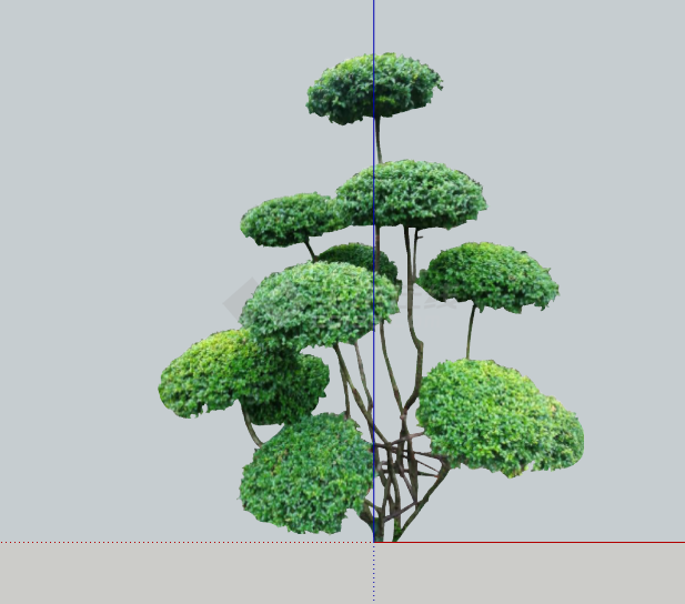 绿色细致绿丝带造型树su模型-图二