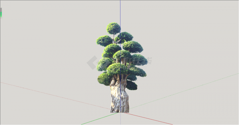 现代经典绿丝带造型树su模型-图一