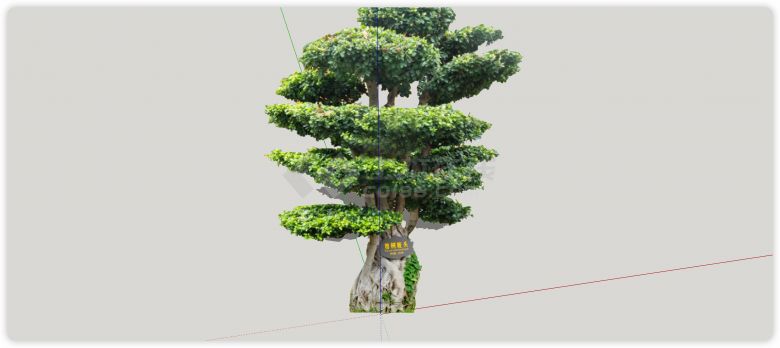 榕树庄头优美造型树su模型-图二
